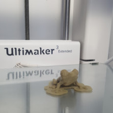 Ultimaker 3 Extended